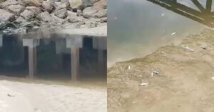 VÍDEO: ONG denuncia cheiro de esgoto e peixes mortos em praia de Bombinhas
