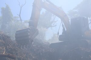 Incêndio segue ativo na Comcap após 48h; veja fotos