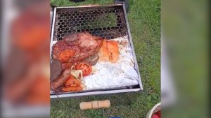 VÍDEO: Carne podre é apreendida em Jurerê após flagrante de venda irregular na faixa de areia