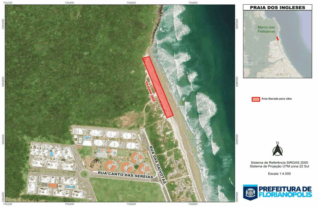 cães florianópolis