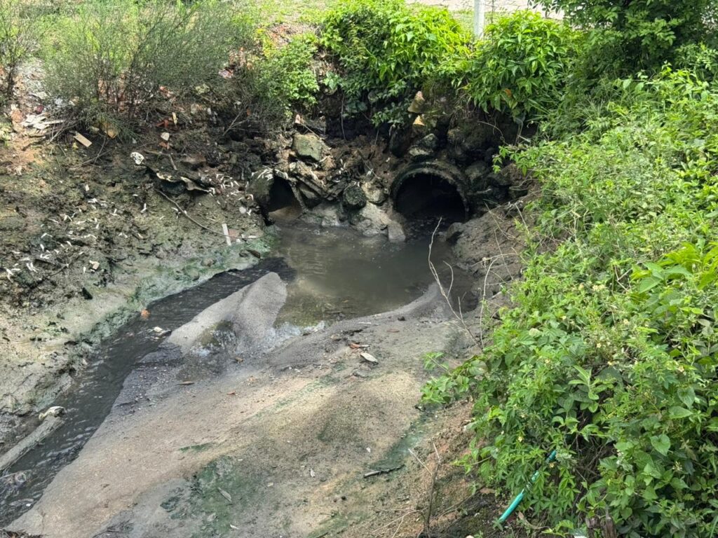 rio da ostra esgoto palhoça