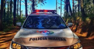 Homem mata gato do vizinho a machadadas em Ibirama, no Vale do Itajaí