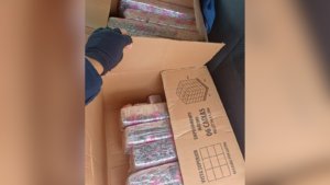 PRF intercepta 20 quilos de maconha na BR-101 de Içara