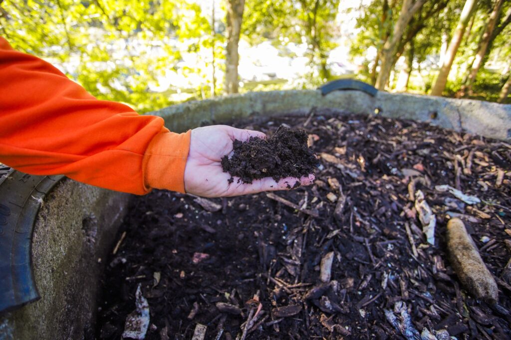 florianopolis uma das 20 cidades lixo zero do mundo