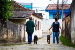 2 homens são presos em Florianópolis por maus tratos a animais; 6 cães são resgatados