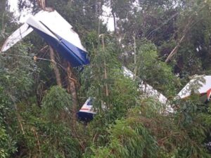 Piloto morre após queda de avião na divisa entre Paraná e Santa Catarina