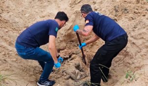 Corpo de adolescente desaparecida é encontrado em dunas de areia em SC