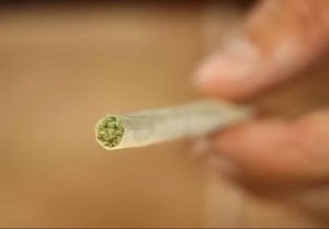Florianópolis lidera capitais com maior consumo de drogas entre adolescentes, revela IBGE