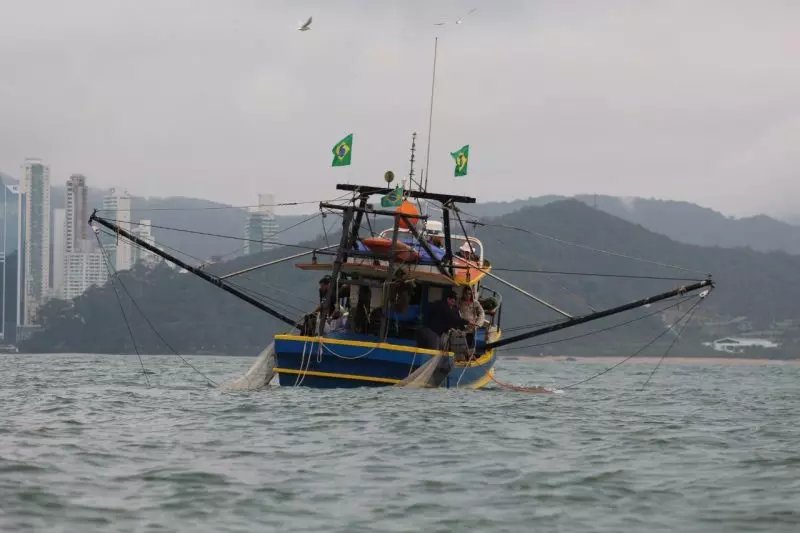 pesca-camarão-sc