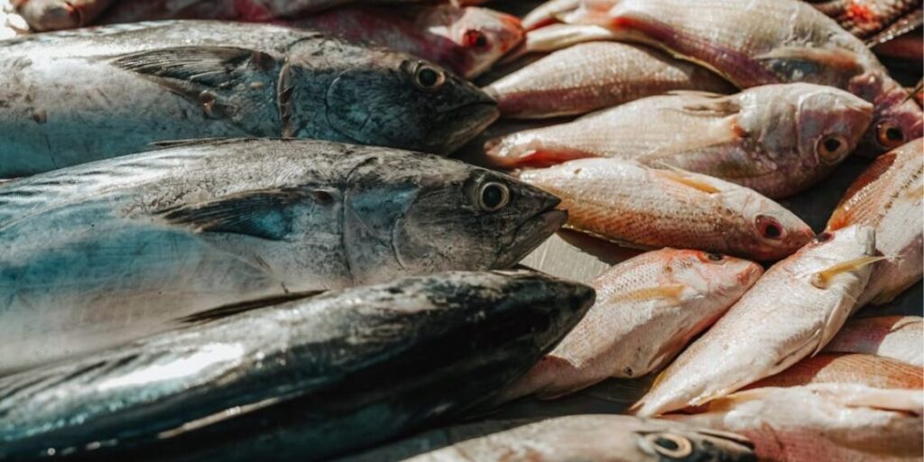 pescados semana santa
