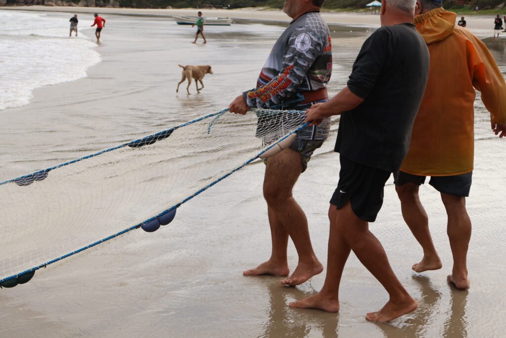 pesca de tainha em naufragados