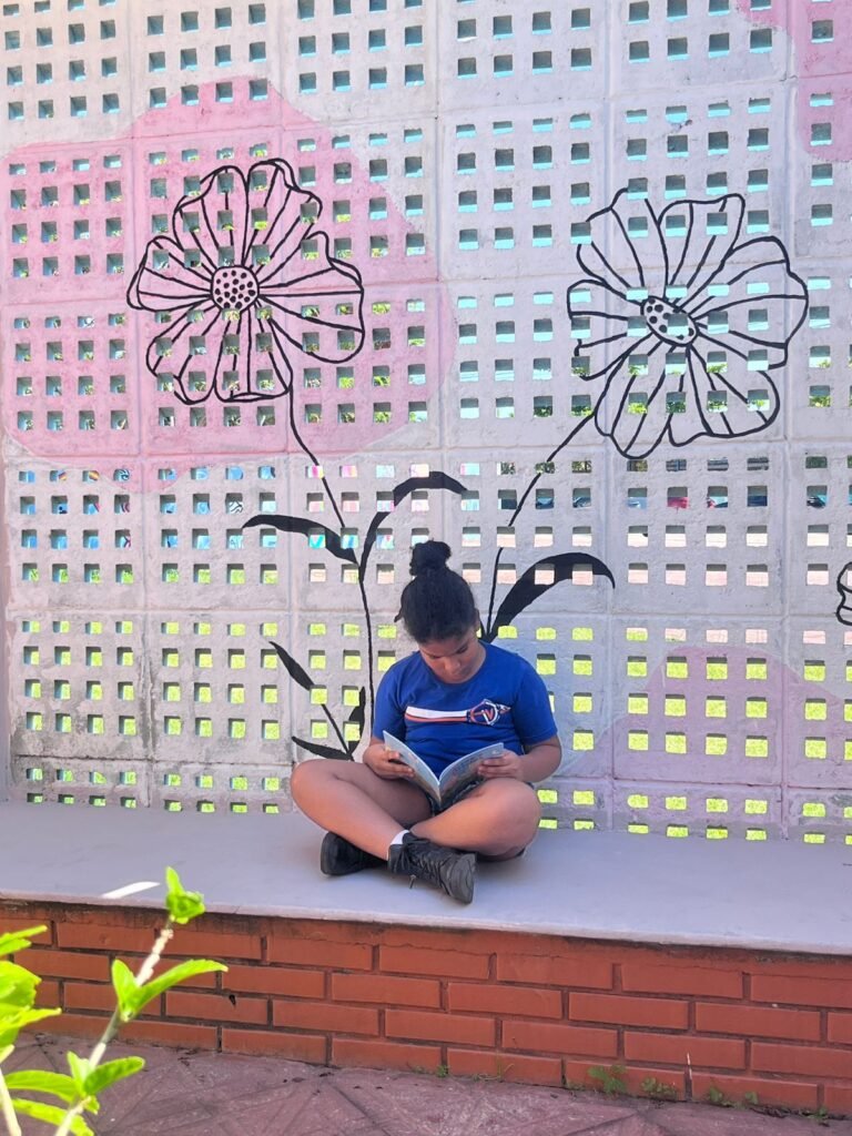 alfabetização em florianópolis