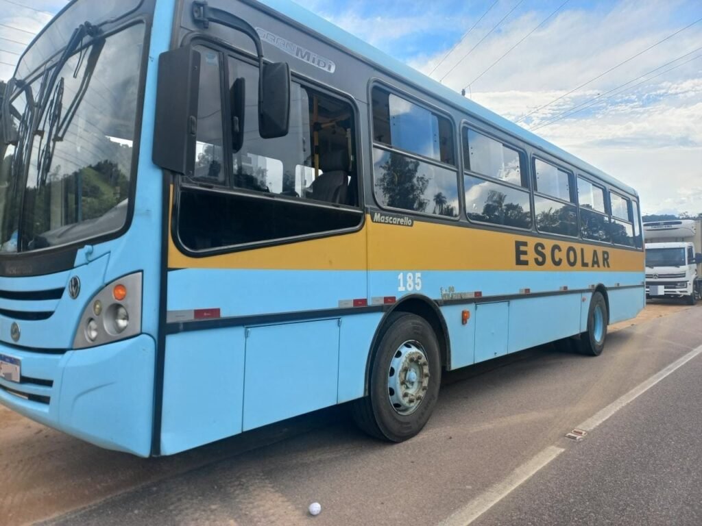 criança morre atropelada após sair de ônibus escolar