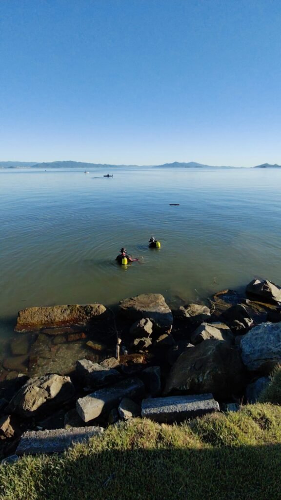 carro cai na agua na beira mar