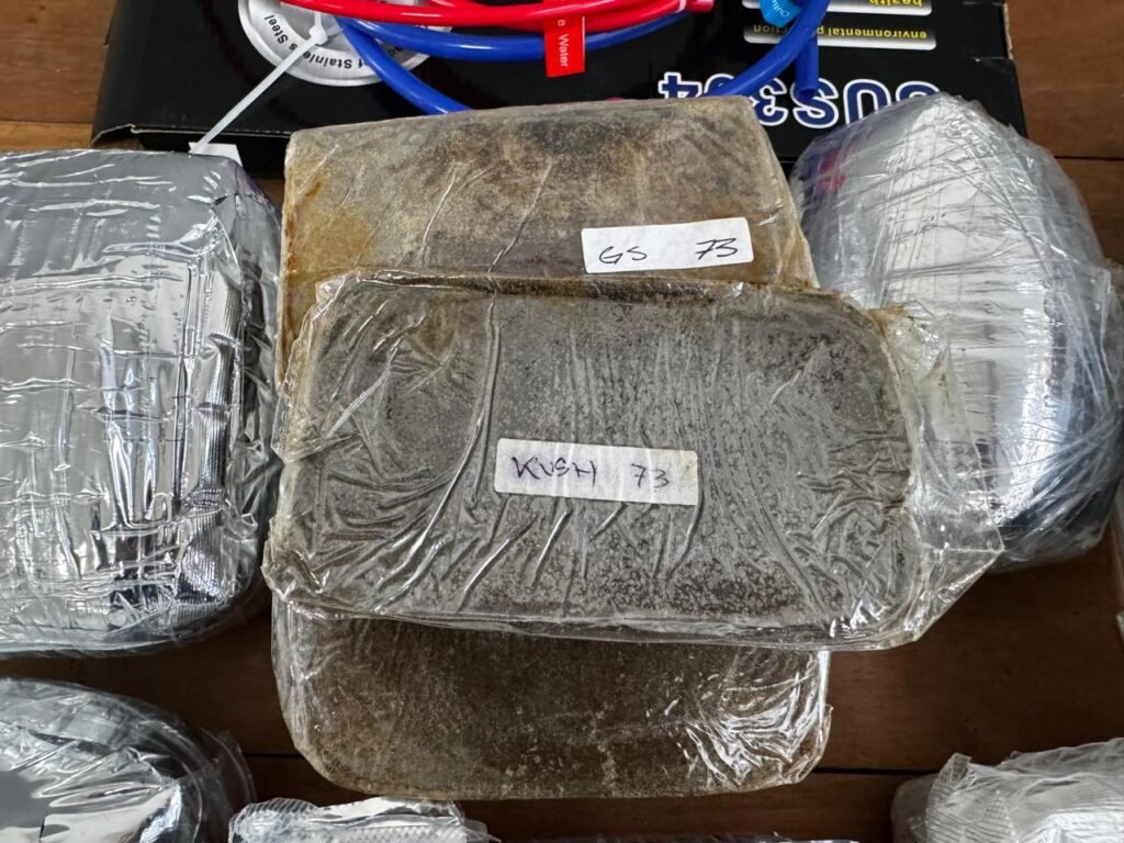 haxixe marroquino joinville