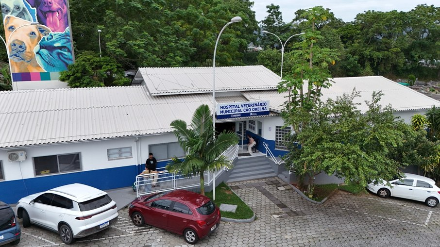 hospital-veterinário-cão-orelha