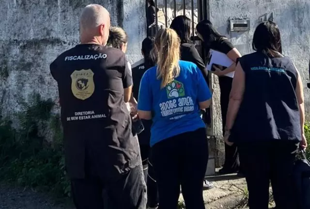32 cães resgatados palhoça