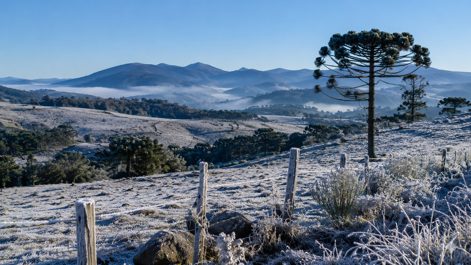 Massa de ar polar mantém temperaturas baixas em Santa Catarina e pode provocar geadas no Sul, Sudeste e Centro-Oeste do Brasil