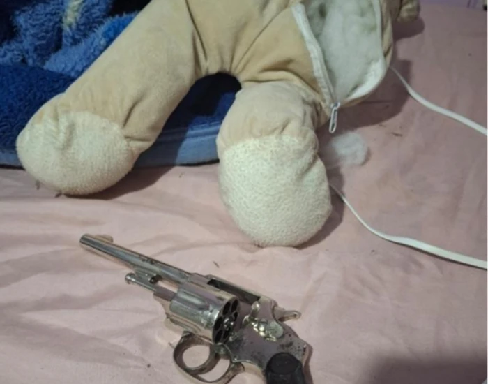 Arma dentro de urso de pelúcia é encontrada em SC