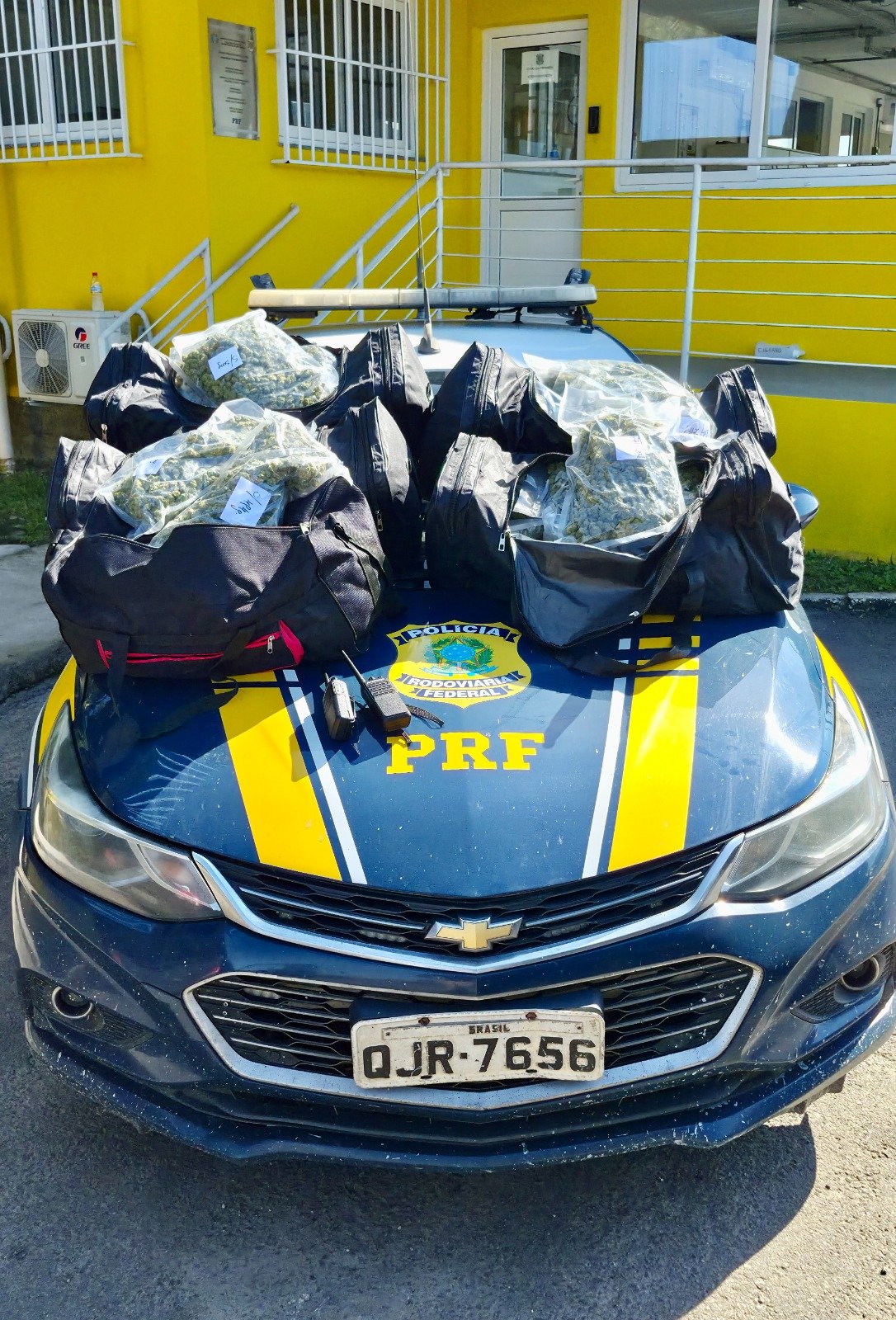 Skunk do Uruguai é apreendido com 24 kg na BR-101 no litoral