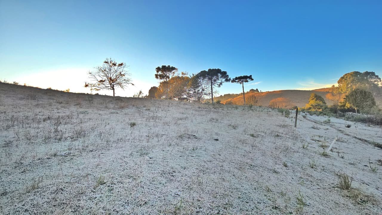 Frio em SC deixa 39 cidades abaixo de zero e congela a Serra