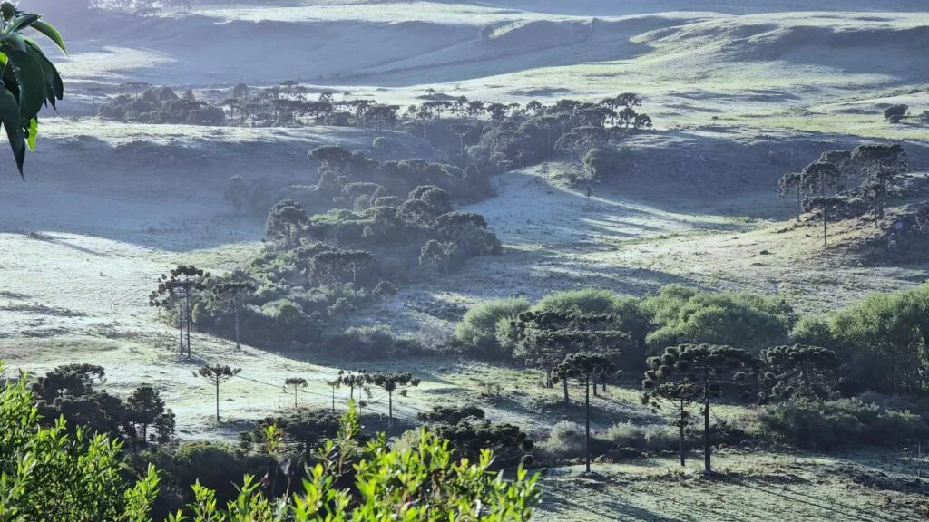 Frio intenso em Florianópolis acende alerta até quarta-feira