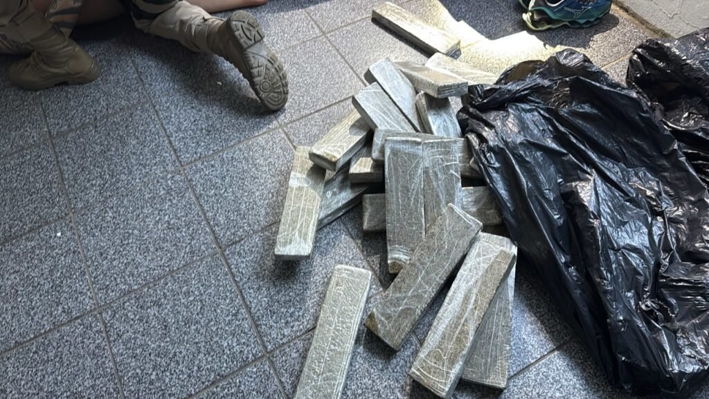 Megaoperação contra facção em Palhoça prende 12 pessoas e captura drogas e armas ilegais