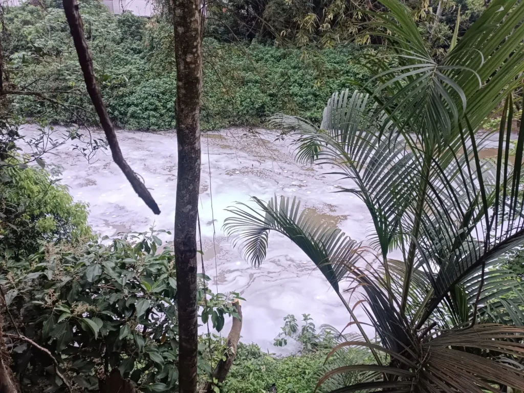 Espuma misteriosa aparece em rio de SC e órgãos ambientais investigam poluição