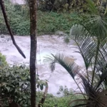 Espuma misteriosa aparece em rio de SC e órgãos ambientais investigam poluição