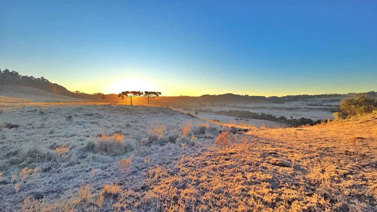 Serra Catarinense amanhece coberta de gelo e termômetros chegam a -7,7ºC