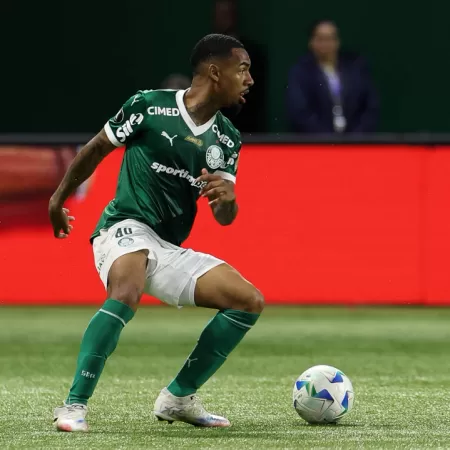 Allan Elias - Figueirense e Palmeiras