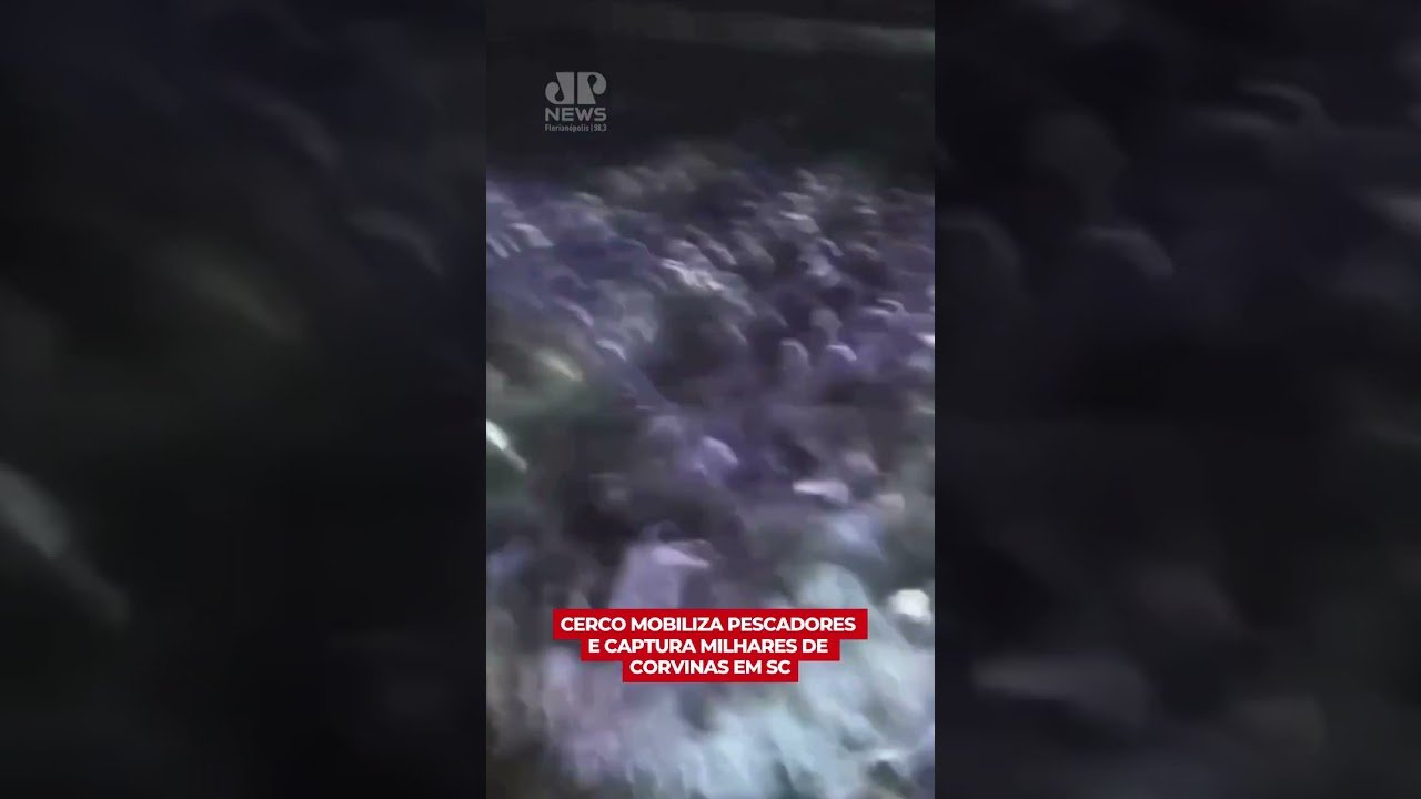 Cerco reúne pescadores e captura milhares de corvinas em Laguna