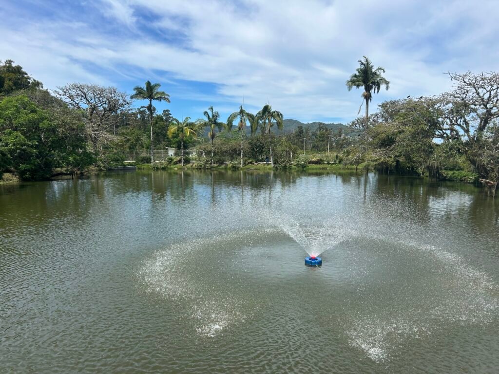 Jardim Botânico de Florianópolis completa 10 anos e inicia construção de um Jardim Japonês