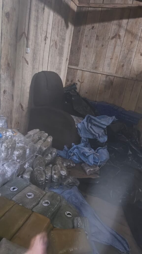 Meia tonelada de drogas é encontrada em casa de Biguaçu, na Grande Florianópolis