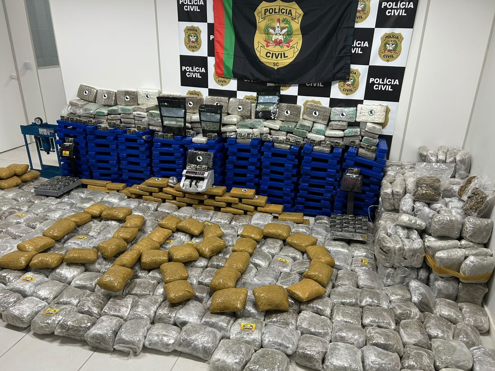 Meia tonelada de drogas é encontrada em casa de Biguaçu, na Grande Florianópolis