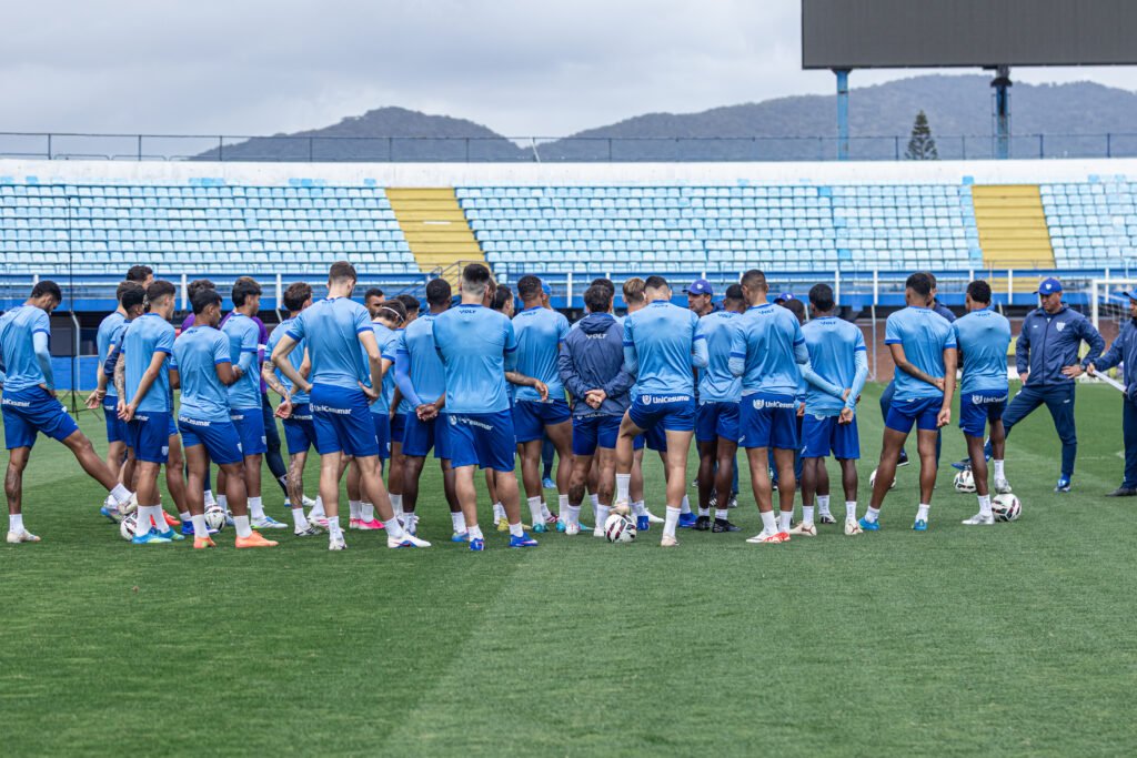 Análise: Avaí busca forças para superar desafio diante do Goiás e deixar zona do rebaixamento
