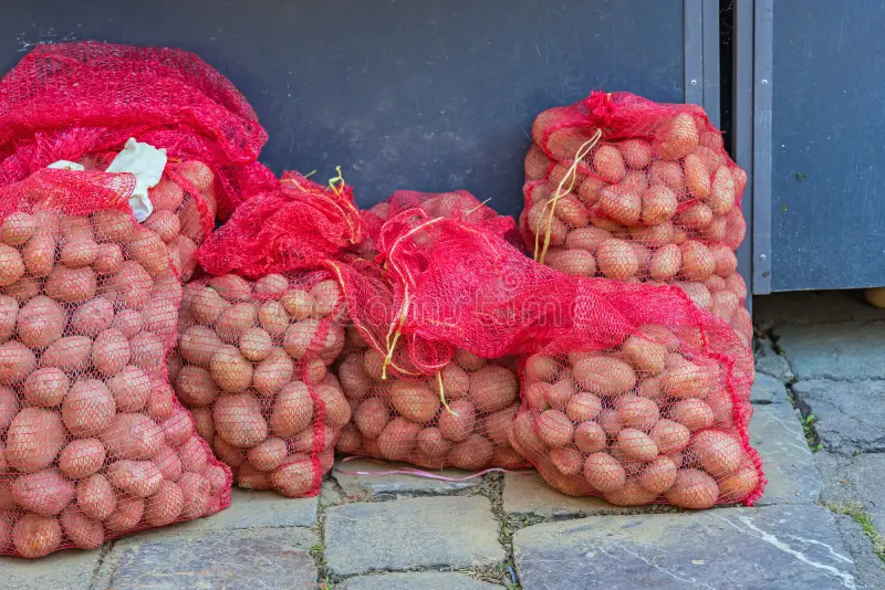Vereador de SC morre após ser atingido por saco de batatas