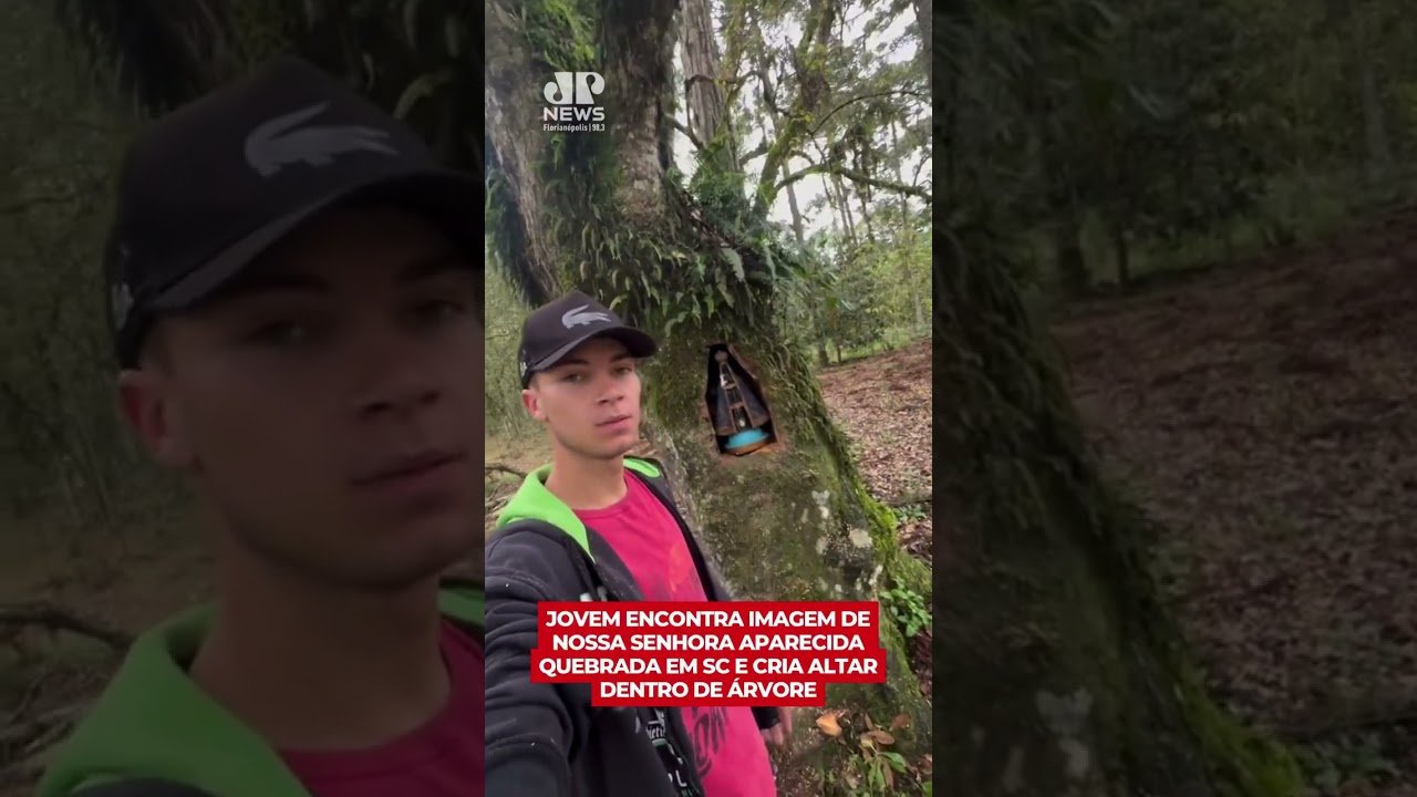 Jovem encontra imagem de Nossa Senhora Aparecida quebrada em SC e cria altar dentro de árvore