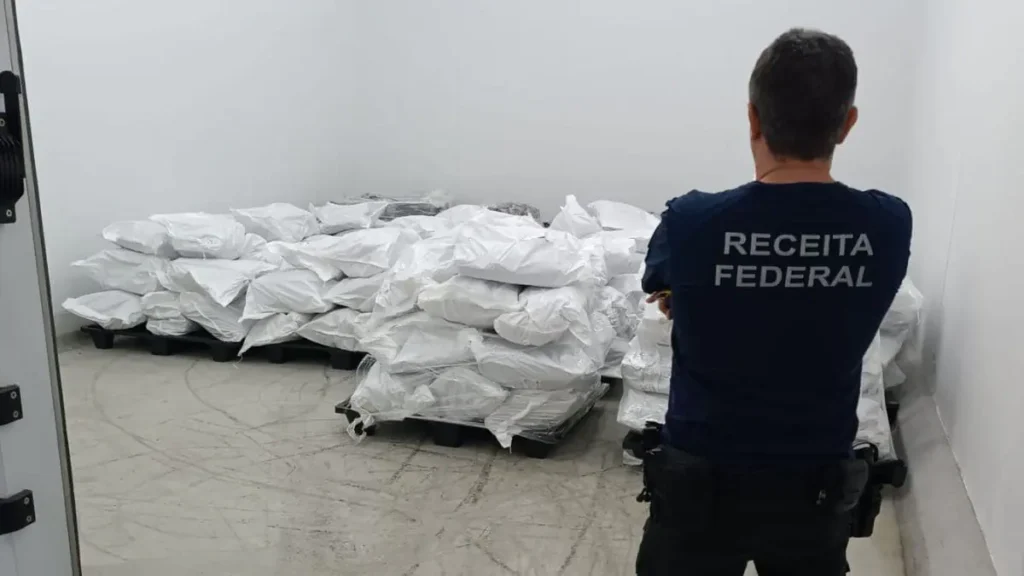 17 toneladas de barbatanas de tubarão são apreendidas em porto de SC