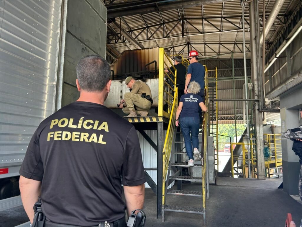 5,3 toneladas de drogas apreendidas em Florianópolis e outros municípios são incineradas