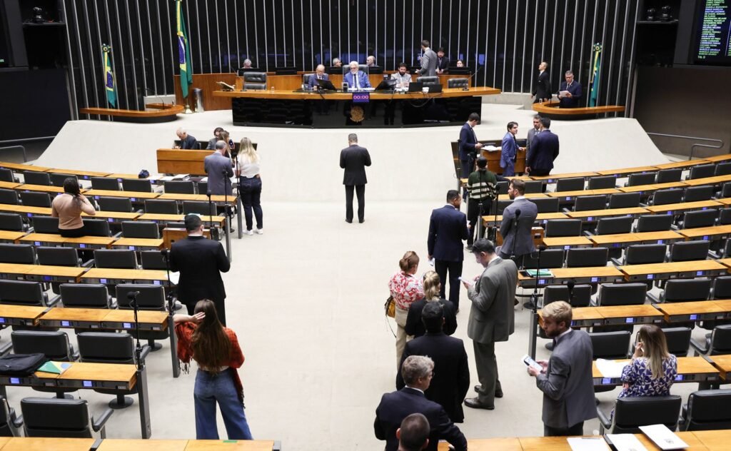 Zanatta, Carla Ayers e Giovana Mondardo: acesse os candidatos a deputado federal mais votados na Grande Florianópolis
